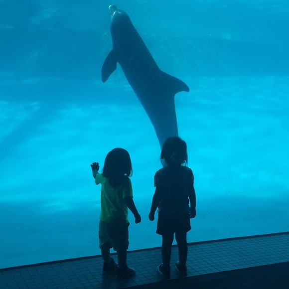 Meet your Posher, Jean - Picture 1 of 1